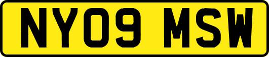 NY09MSW