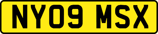 NY09MSX