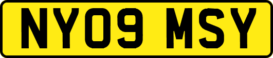 NY09MSY