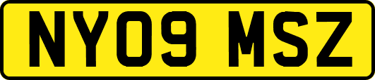 NY09MSZ