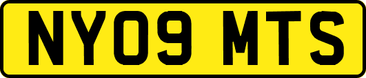 NY09MTS