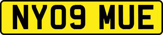 NY09MUE
