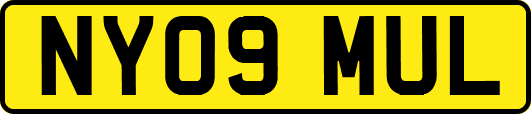 NY09MUL