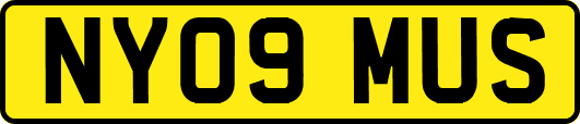 NY09MUS