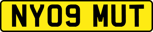NY09MUT