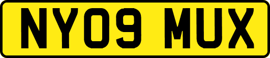 NY09MUX