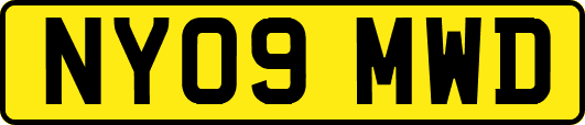 NY09MWD