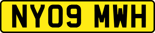 NY09MWH