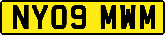 NY09MWM