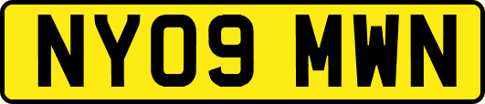 NY09MWN