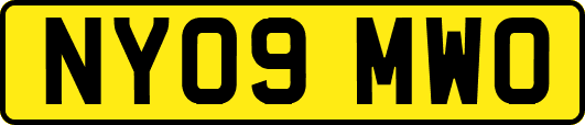NY09MWO