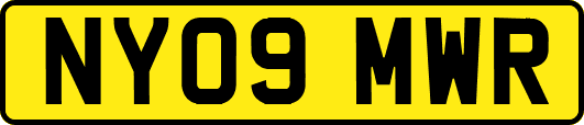 NY09MWR