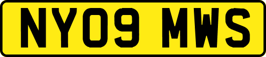 NY09MWS