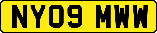 NY09MWW