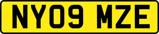NY09MZE