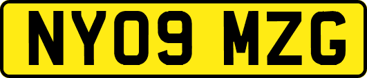 NY09MZG