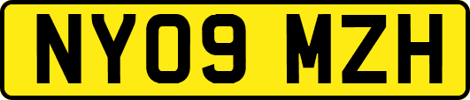 NY09MZH