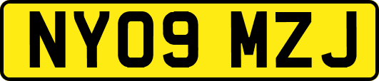 NY09MZJ