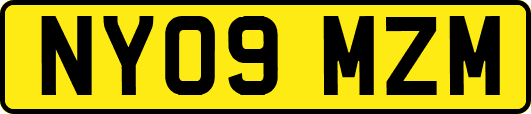 NY09MZM