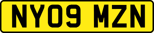 NY09MZN