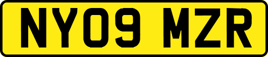 NY09MZR