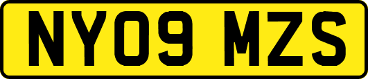 NY09MZS