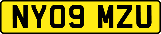 NY09MZU
