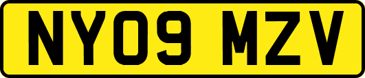 NY09MZV