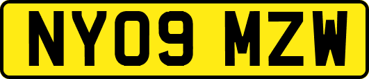 NY09MZW