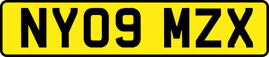 NY09MZX