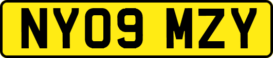 NY09MZY