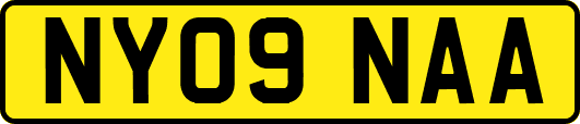 NY09NAA