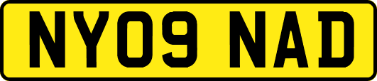 NY09NAD