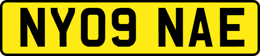 NY09NAE