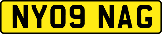 NY09NAG