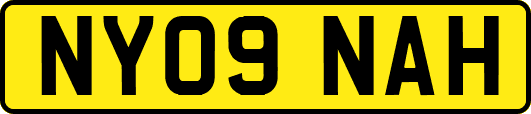 NY09NAH