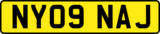 NY09NAJ