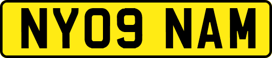 NY09NAM