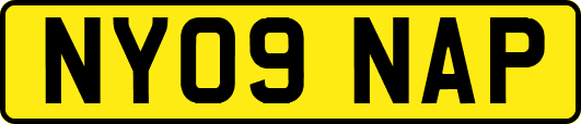 NY09NAP
