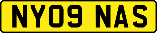 NY09NAS