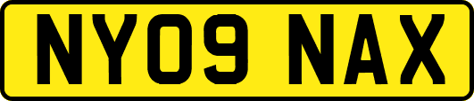 NY09NAX