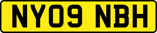 NY09NBH