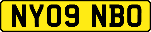 NY09NBO