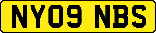 NY09NBS