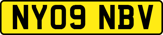 NY09NBV
