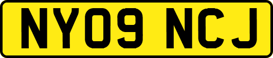 NY09NCJ