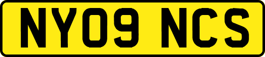 NY09NCS