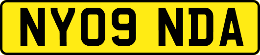 NY09NDA