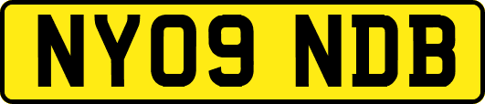 NY09NDB