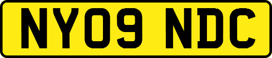 NY09NDC